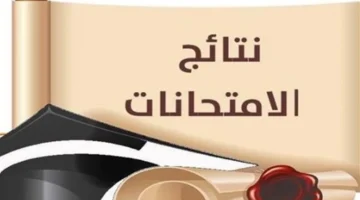 اعتماد وشيك.. موعد إعلان نتيجة الشهادة الإعدادية في 3 محافظات كبرى
